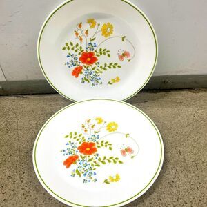 2 Vintage Corelle by Corning Dinner Plates